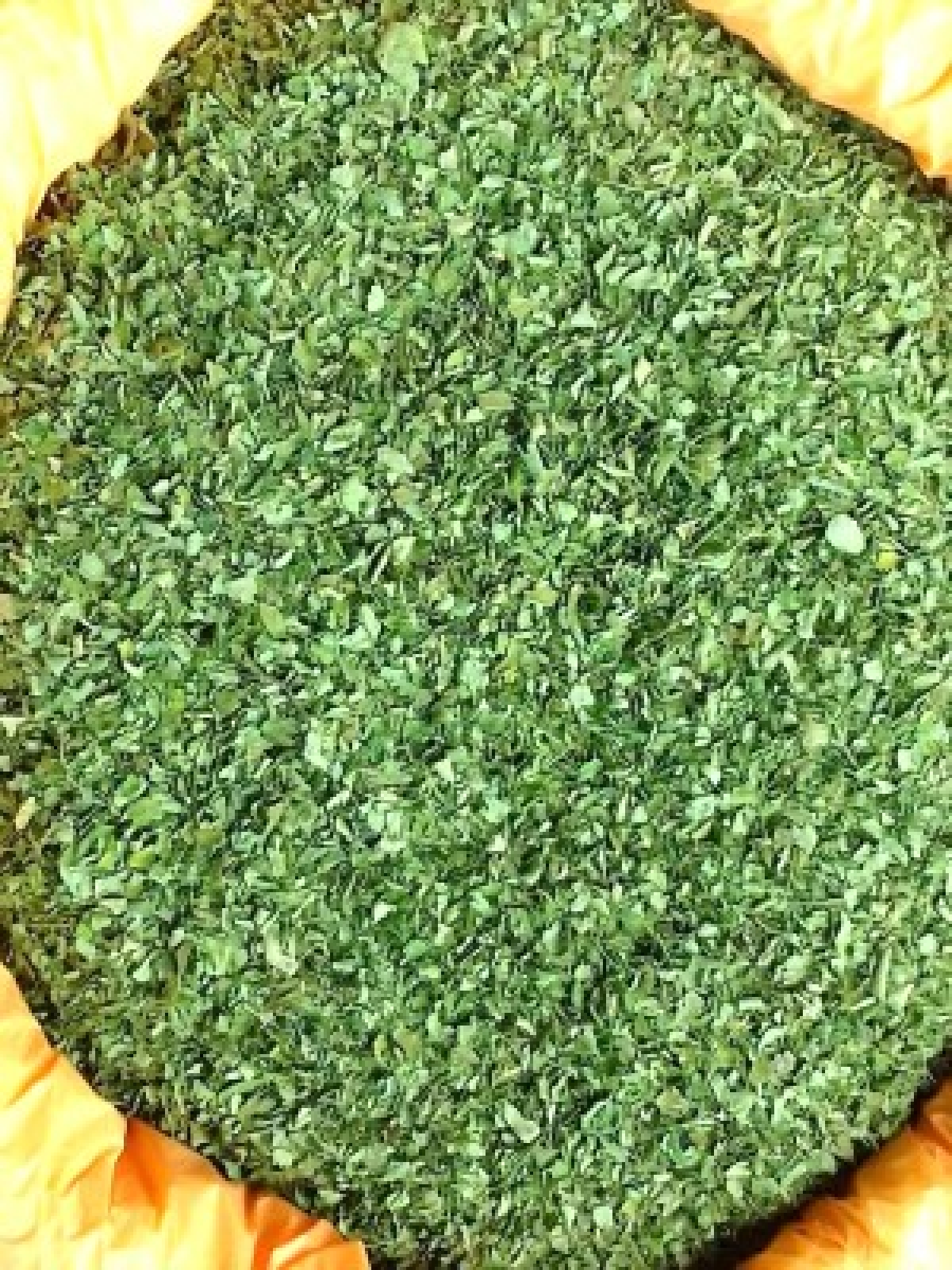 Dried moringa